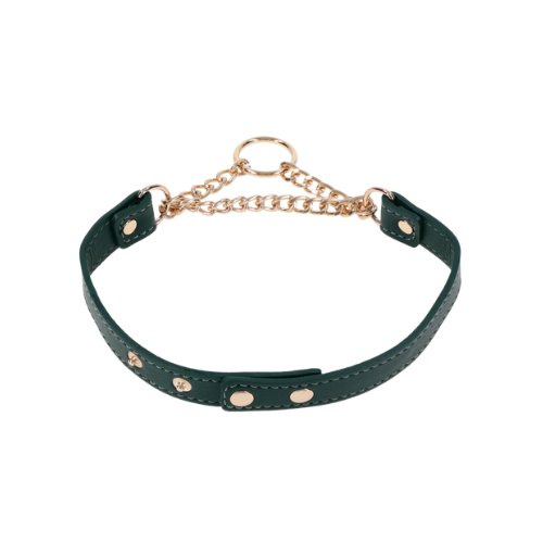 Sportsheets Indica Day Collar