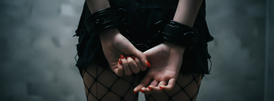A Beginner’s Guide to BDSM Toys:  Explore the World of Pleasure & Power
