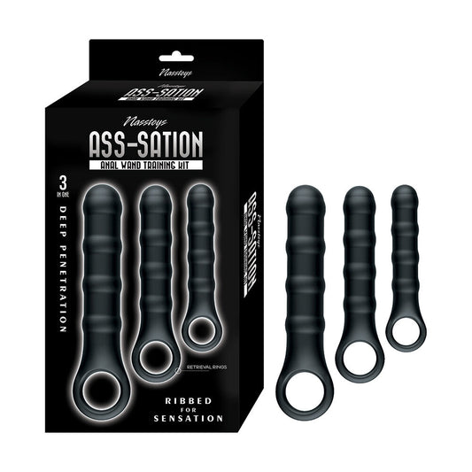 NassToys Ass-Sation Anal Wand Training Kit