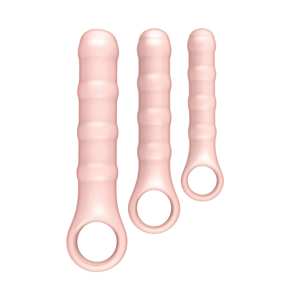 NassToys Ass-Sation Anal Wand Training Kit