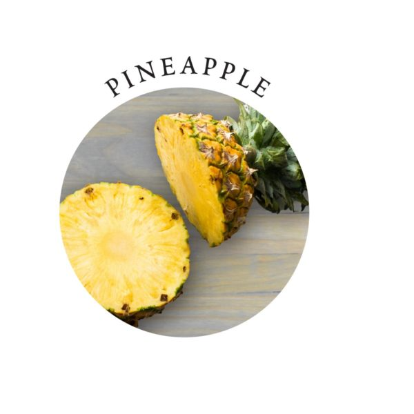 Earthly Body Tasty Travel Gift Set – Pineapple Flavor – 4-Piece Mini Collection