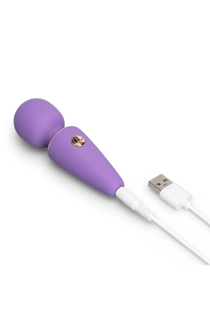 Le Wand Mini Vibe MicroWand Rechargeable Wand Massager