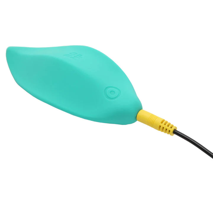 ROMP Wave shown with USB magnetic charger and included instruction manual