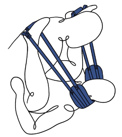Sportsheets Pivot Deluxe Doggie Strap