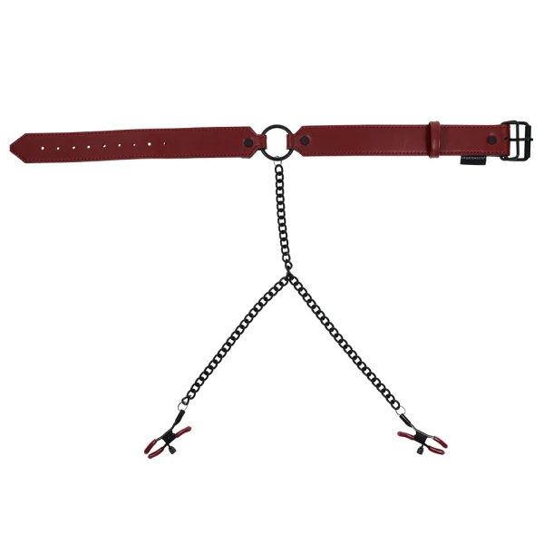 Sportsheets Saffron Collar with Nipple Clamps